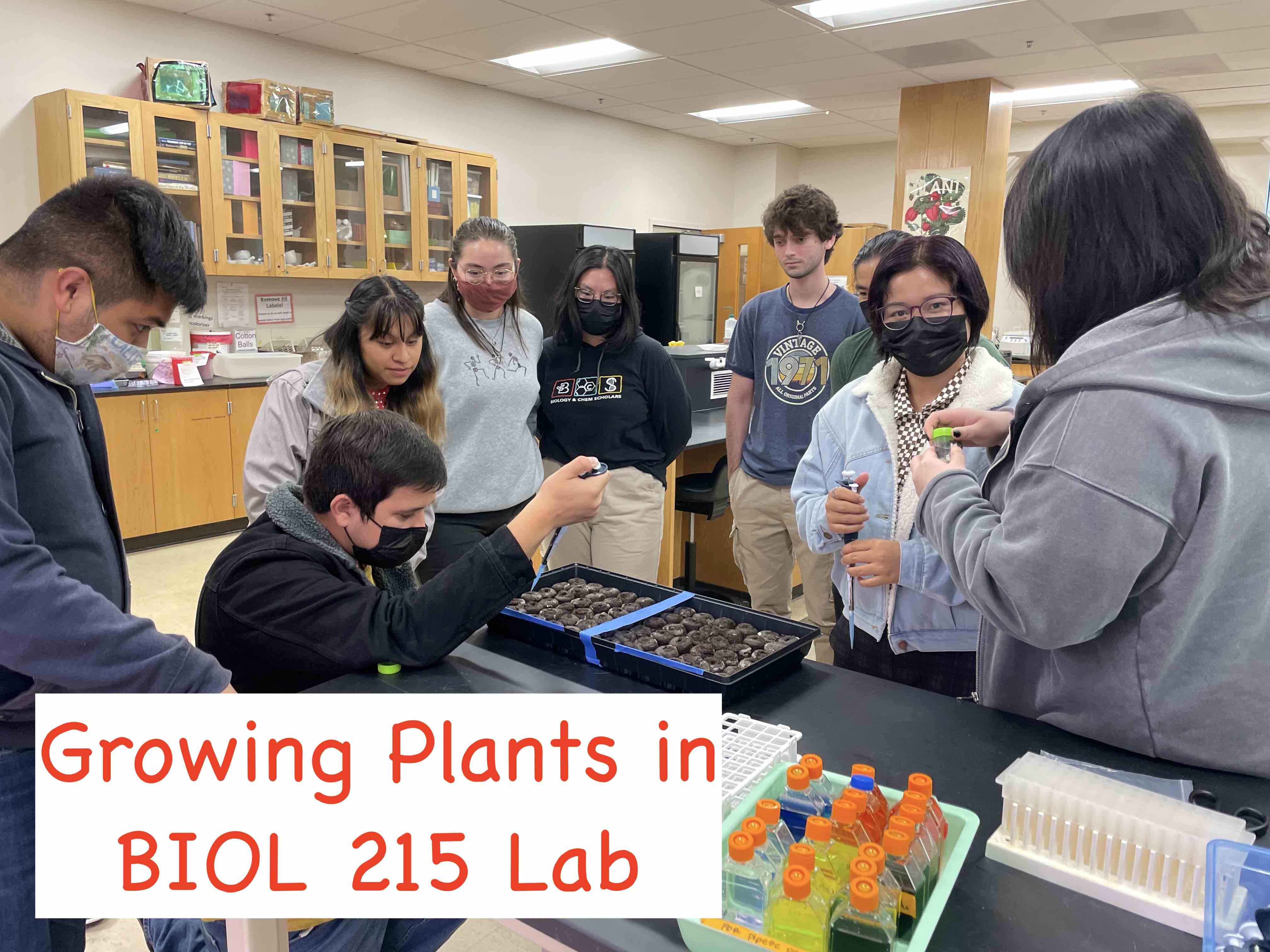 Biol 215 lab